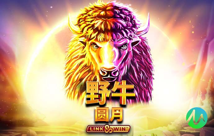 彩宝网app官方下载截图0